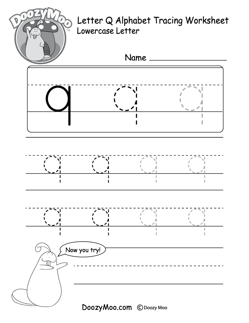 Lowercase Letter q Tracing Worksheet Doozy Moo