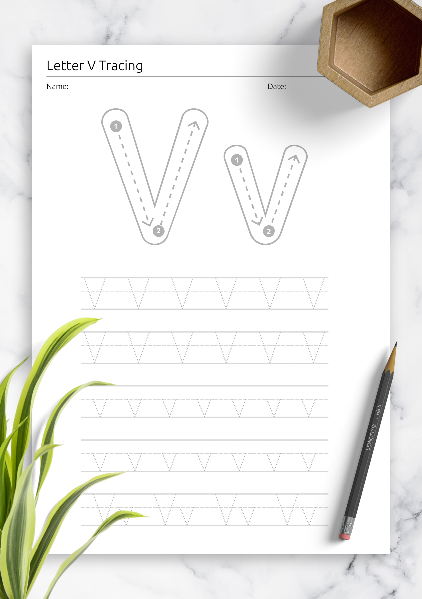 Download Letter V Trace For Kids Printable PDF