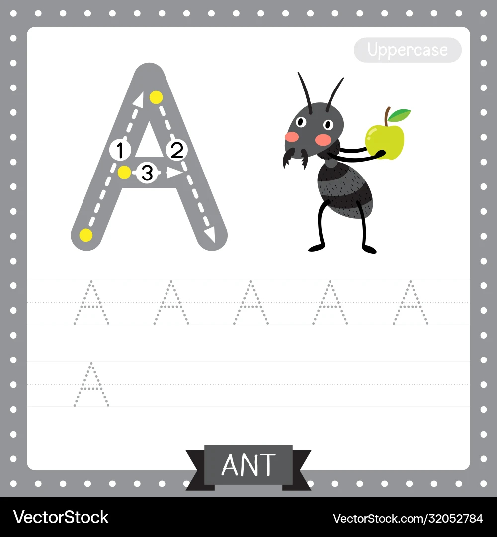 Letter A Uppercase Tracing Practice Worksheet Vector Image