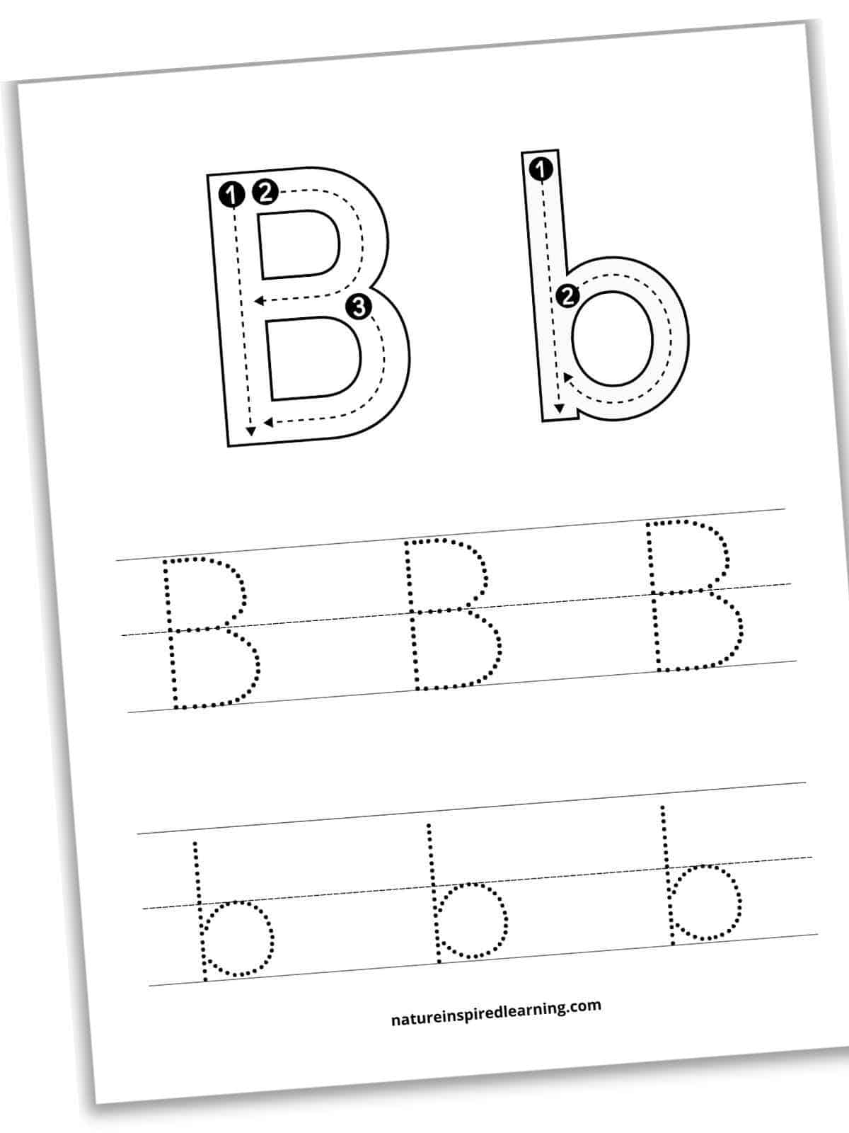Letter B Tracing Worksheets Printable Nature Inspired Learning